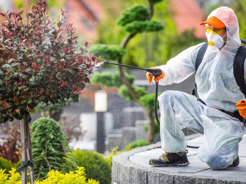 Saimbeyli Haşere İlaçlama